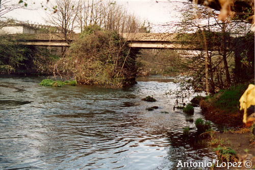 Ponte15.jpg