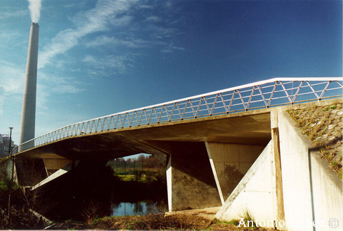 Ponte16.jpg