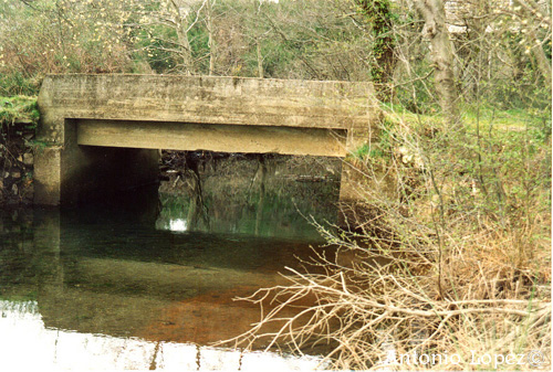 Ponte17.jpg