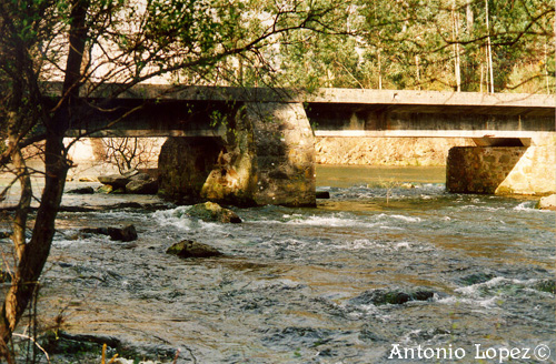 Ponte19.jpg