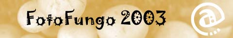 fotofungo2k3.jpg