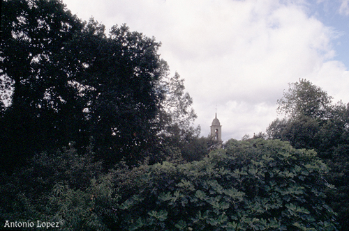 AsPontes25.jpg