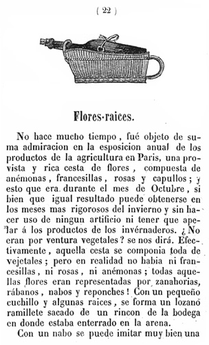 Curiosidades01.jpg