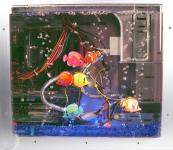aquarium-alt5.jpg