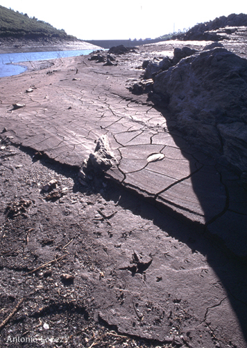 Encoro04.jpg