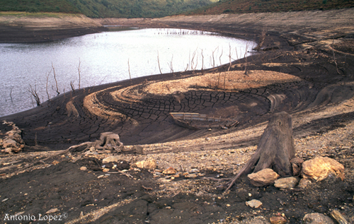 Encoro12.jpg