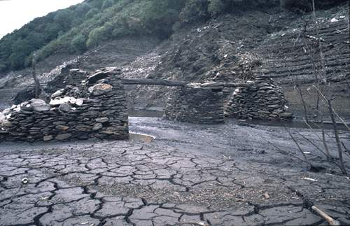 Encoro36.jpg