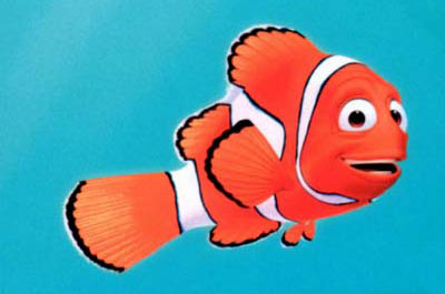 nemo1.jpg
