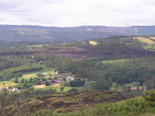 pontoibo.jpg