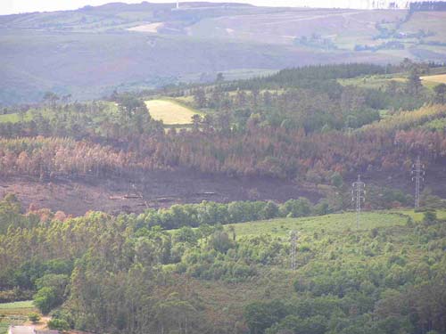 pontoibo3.jpg