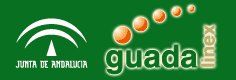 guadalinex.jpg