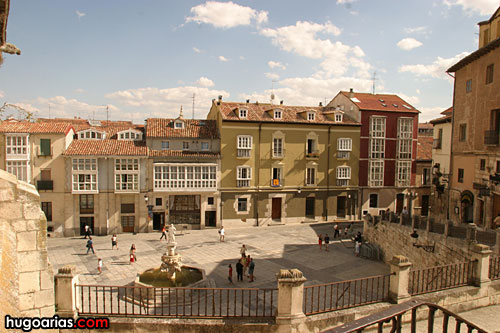CRW_9559_RJ.jpg