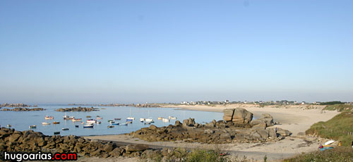 IMG_9771.jpg