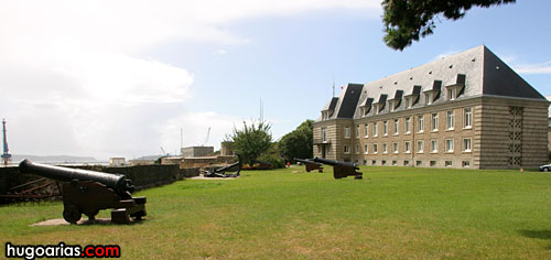 CRW_0224_RJ.jpg